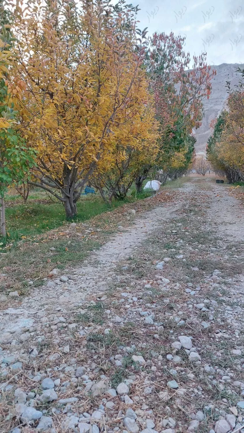 باغچه ای جا ویلا تهران پارس شرق گرمابسرد دماوند